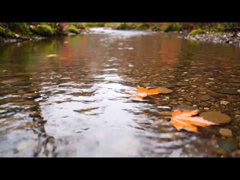 Blue Hour Zen Garden (2H40M) — Lantern Glow & Gentle Water | Study Yoga Sleep