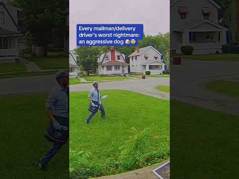 Are Dogs a Proper Form of Home Security? #homesecurity #securitycamera #caughtoncamera #dogvideo