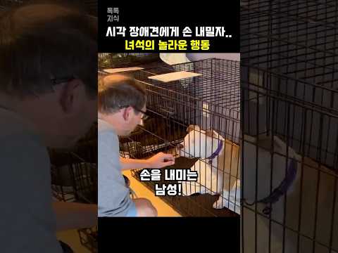 오래 주인을 찾지 못했던 녀석에게 손 내밀자…