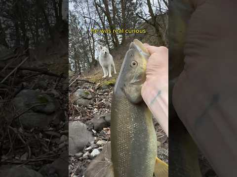 I showed him the fish