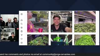 Jorge Cervantes LIVE stream to gather and discuss feedback on his new book: WE GROW CANNABIS!