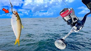 Fishing a LIVE! PILCHARD 70' DEEP in the GULF and Caught THIS!