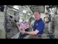 Endeavour's Journey and Legacy