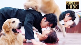 💌【Full Movie】灰姑娘幫迷路小狗找主人，竟誤奪霸總初吻！二十年冰山不近女色，鐵樹終於開花了啊！【好想和你在一起 Be with You】