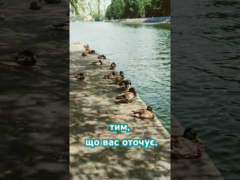 Дозвольте собі ❤️