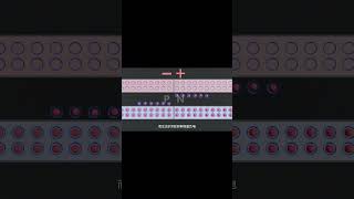 LED的发光原理 #science #百科密码#shorts #led #PN结