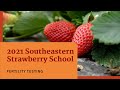 Nutrient Management in Strawberry Cultivation