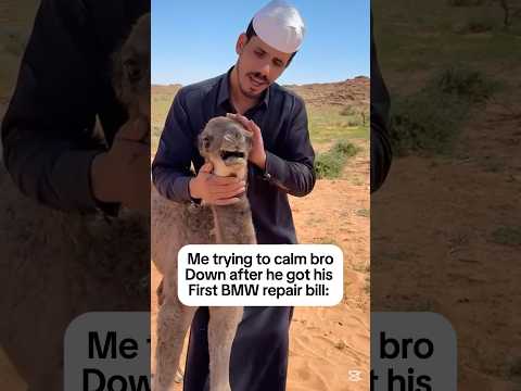 Me trying to calm bro down after his first bmw repair bill 😂 #shorts #cars #bmw