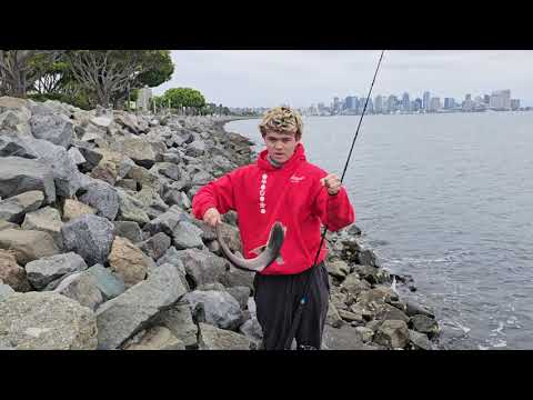Jaykob catches a nice Smoothhound Shark 
