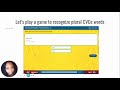 Understanding Plurals with Silent E