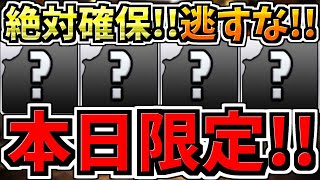 【本日限定】逃すと絶対後悔します！2つ！超大事なヤツから一部の人に必要なヤツまで！徹底解説【パズドラ】