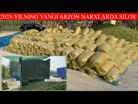 2025-YILNI YANGI SILOS NARXLARI ARZONLAB KETDI