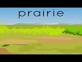 Prairie Vegetation and Landscape Features