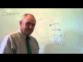 Osmotic Pressure and Fluid Dynamics