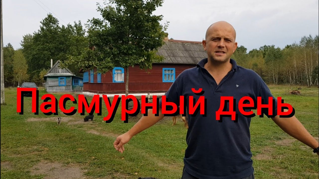 Чем займёмся в дождливый день? Конечно ремонтом в доме. Мы сели на диету и придумали новое блюдо.