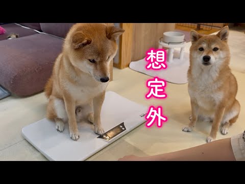 皆さんに残念なお知らせがあります…