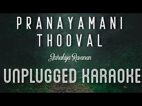 Pranayamani Thooval – Azhakiya Ravanan | Karaoke with Lyrics | unplugged | Vidyasagar | Sebin