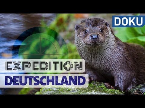 Expedition Deutschland  | Reisen | Dokus und Reportagen