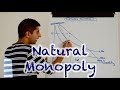 Natural Monopoly Concepts and Implications
