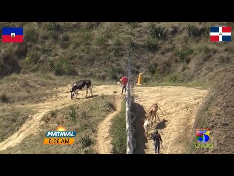 Inician trabajos para el Muro Fronterizo, Presidente Abinader encabeza acto - Matinal