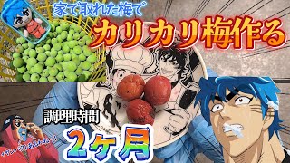 2ヶ月掛けて自家製【カリカリ梅】作ったら奇跡が起きた、自分をトリコだと思い込んでいる男