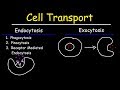 Cell Transport Mechanisms and Functions