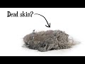 Understanding Dust and Its Composition
