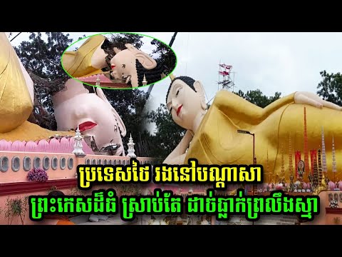 ប្រទេសថៃ រងនៅបណ្ដាសា ព្រះកេសដ៏ធំ ស្រាប់តែ ដាច់ធ្លាក់ព្រលឹងស្មា