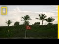 Understanding Sea Breezes and Shark Behavior
