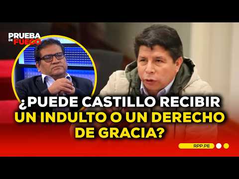 Constitucionalista considera que no corresponde un indulto ni derecho de gracia para Pedro Castillo