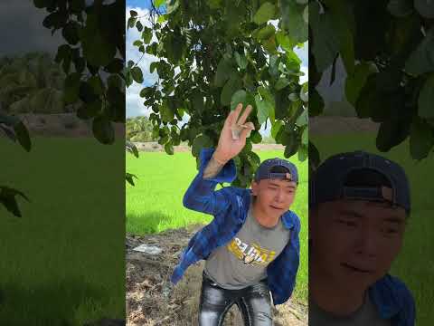 Làm Ơn Thôi Mà