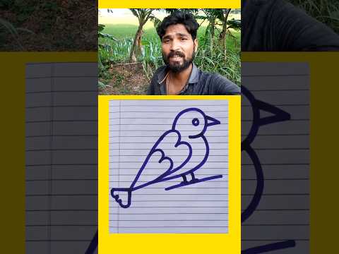 चिड़िया का चित्र बनाएं आसानी से #shortvideos #shortsviral  #viral