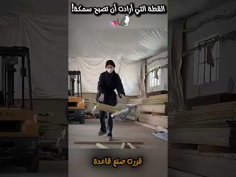 القطة التي أرادت أن تصبح سمكة! #shortsyoutube #shortvideo #اكسبلور #ابداع