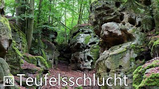 Teufelsschlucht, Germany 🇩🇪 The Devil’s Gorge Hike in the Eifel Region 🇩🇪 4K 60p