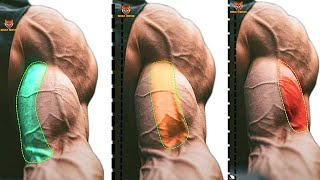 TOP 4 LONG HEAD BICEPS  /  SHORT HEAD BICEPS / BRACHIALIS BICEPS EXERCISES  WITH DUMBBELLS ONLY
