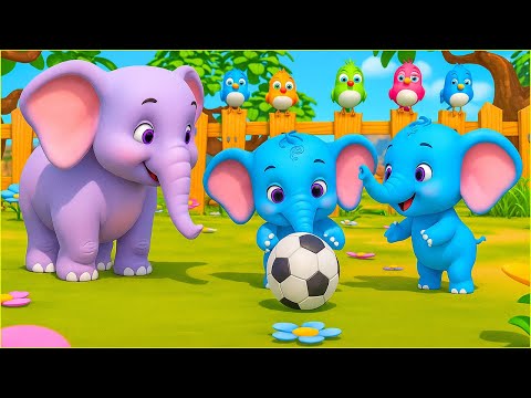 Voi con ở Bản Đôn - Nhạc thiếu nhi Chú thỏ con - Một con vịt