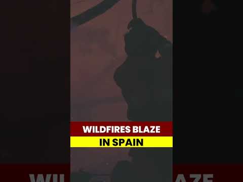 Firefighters Tackle Multiple Wildfires In Spanish Countryside As Temperatures Soar