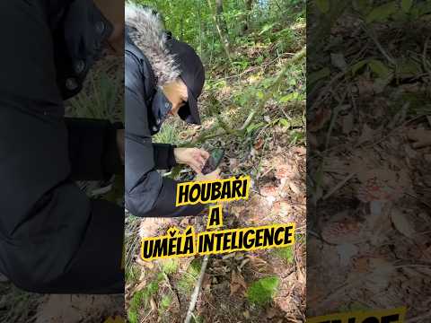 Houbaři a umělá inteligence 🍄‍🟫