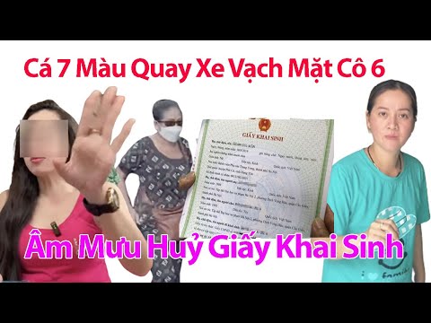 Tối 19/12 Bạn Thân Cá 7 Màu Quay Xe Vạch Mặt Âm Mưu Bún Bò Thuê Người Huỷ Giấy Khai Sinh Hồng Loan