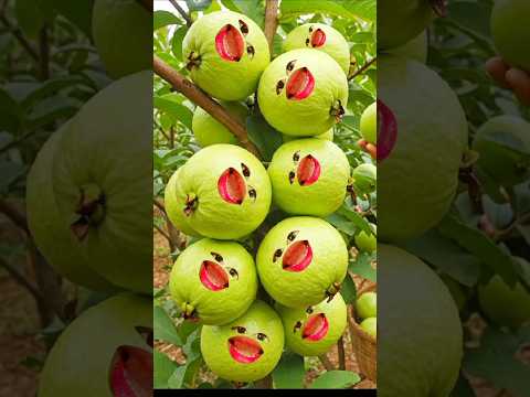 Alifun baa Taun Saa | Naat | Islamic video|| #islamicshorts #shorts#islamicsong #trending