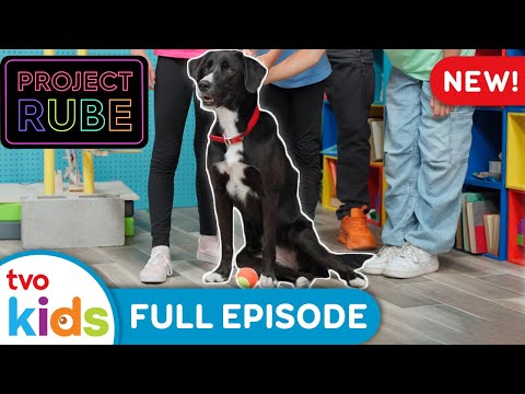 PROJECT RUBE: Operation Ball Fetch 🐶🥎 NEW 2024 Rube Goldberg Season 1 Full Episode | TVOkids