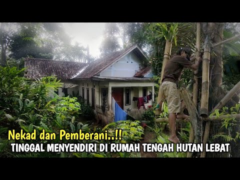 Nekad ‼️ Puluhan Tahun Memilih Tinggal Menyendiri Di Rumah Tengah Hutan Jauh Kemana-mana.