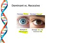 Genetics and Inheritance Concepts