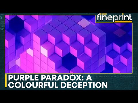 Scientists Reveal Why Purple Is Just An Optical Illusion | WION Fineprint