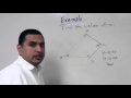 Polygon Properties and Angle Measures