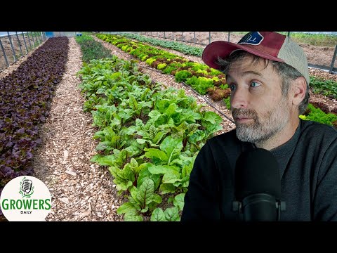 The Phases of a Farm + Wood Chips as a Surface Mulch?