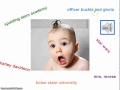 Understanding Nouns: Common and Proper
