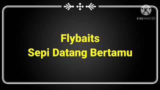 Flybaits - Sepi datang Bertamu