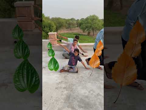 #Hara patta pila patta ki jankari#colouractivity#ytshortsvideo #ytviral