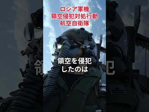 〈祝!190万再生〉航空自衛隊【ロシア軍機領空侵犯対処行動航空自衛隊】#航空自衛隊